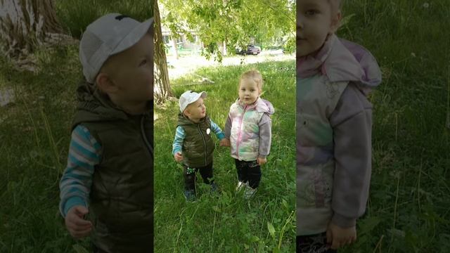 Мои любимки