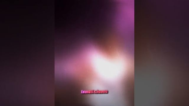 1000005595.mp4