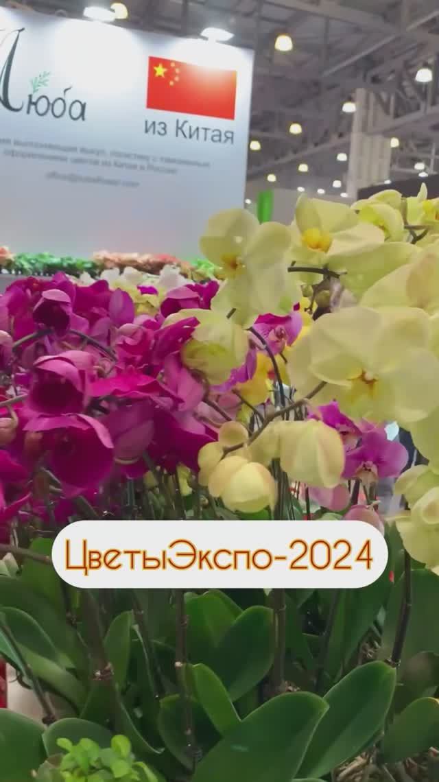 Атмосфера выставки «ЦветыЭкспо - 2024»