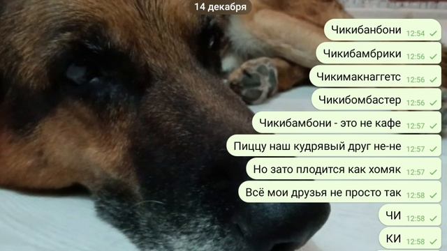 ЧИКИБАМБОНИ