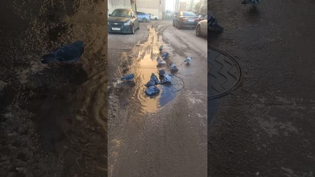 Новый проект