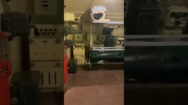 2_5307690661359674092.mp4