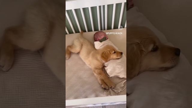 1000079550.mp4