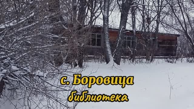 Село Боровица, библиотека.mp4