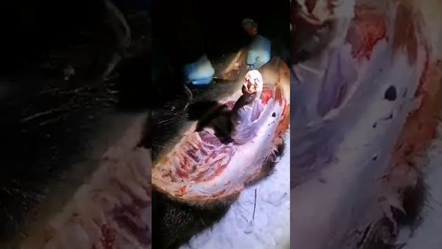 Слабо разделать кабана своим ножом?!