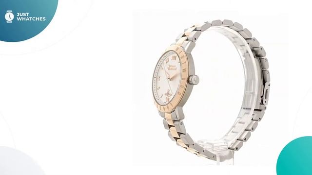 Unique Vivienne Westwood VV152RSSL Ladies' Watches Features, Prices, Honest in 360