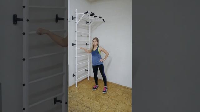 Упражнения махи ногами на Шведской стенке Гладиатор ApolonSport