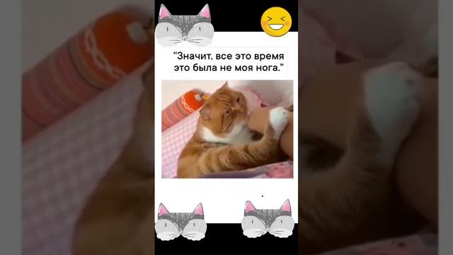 Ошибочка