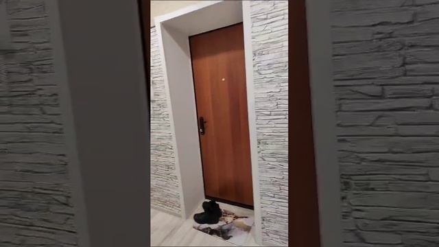 1000076447.mp4