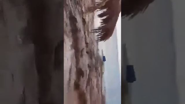 Реальная Африка.Потоп в Египте.