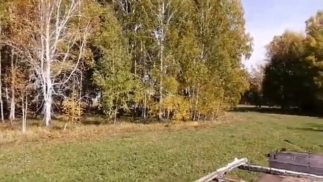 МТЗ 80. Золотая осень. Дикая природа Сибири
