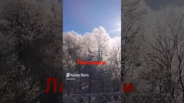 Лагонаки