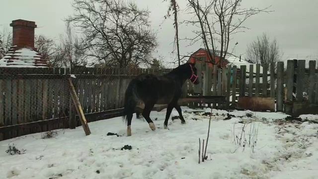 зайка2