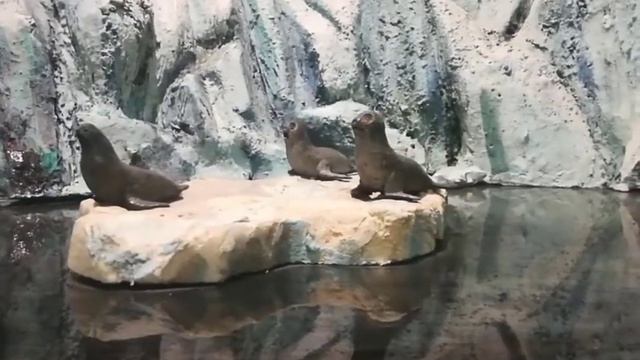 шокирующие факты об Антарктде