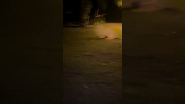Красивый салют. НЕ ПРОПУСТИТЕ