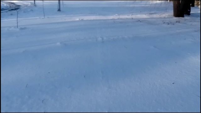 Открытие лыжного сезона в "Экопарке на Моховой" 2024-25. камера: ZTE A31, music: "Sangria" Govi.