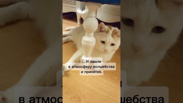 🟩 То, о чём никто не говорит, потому что не хотят это потерять и этим делиться.