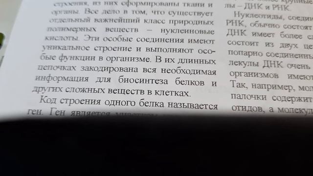 Диэнай. Введение.