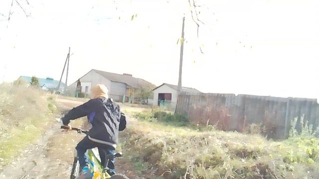 Гуляю) видео от 24.10.2024
