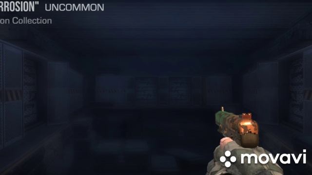 1000008162.mp4