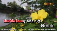 Karaoke Chuyện Hoa Sim - Tone Nữ