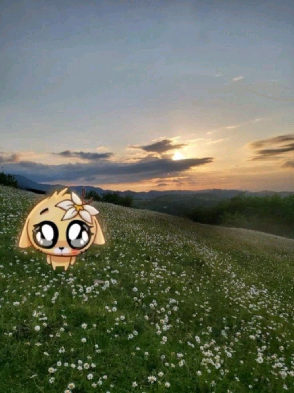 с вами мама Эвелины)