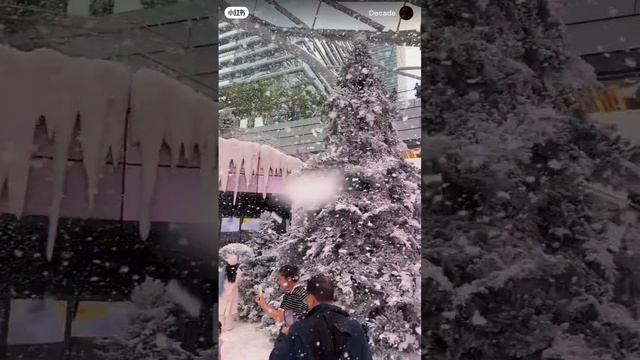 ☃️ Уникальная зимняя зона с искусственным льдом и снегом.