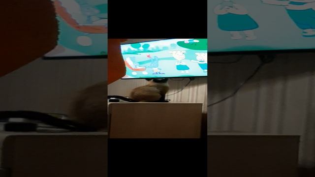 Любознательный