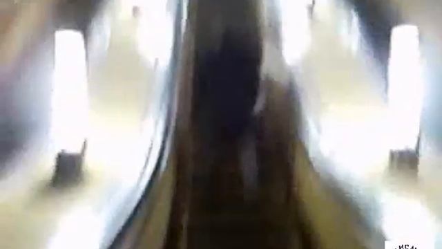 Бедолаге не повезло