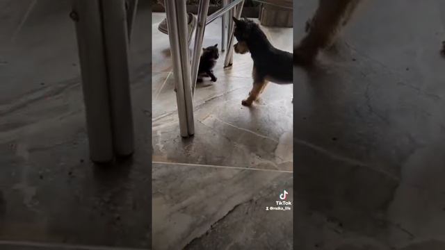 1000042355.mp4