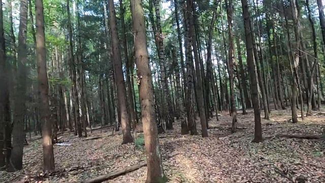 Классное место для полетов на FPV