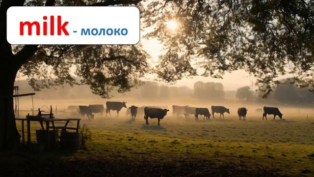 Английские слова - еда (3 класс)