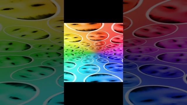 1000008092.mp4