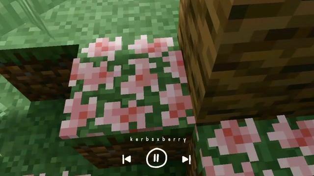 𝙖𝙚𝙨𝙩𝙝𝙚𝙩𝙞𝙘 𝙢𝙞𝙣𝙚𝙘𝙧𝙖𝙛𝙩 𝙗𝙞𝙤𝙢𝙚𝙨♡ ( 1.16.200) mcpe