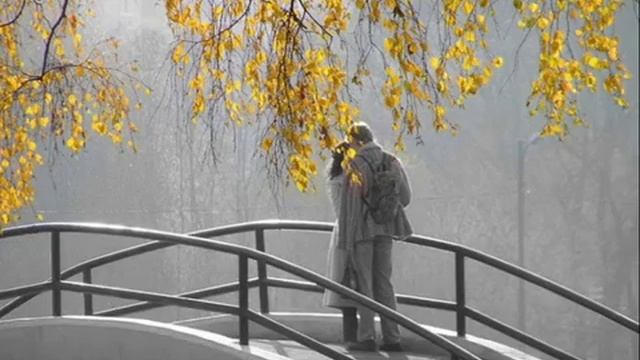 Маленький парусник. Стихи и видео - Виолетта Баша, муз и исп. Макс Максимов