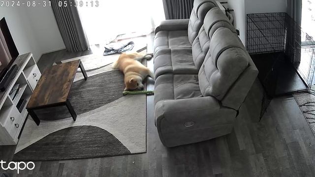 1000018470.mp4