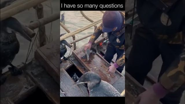 1000023050.mp4