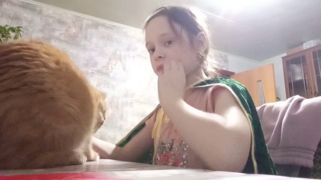 это моя кошка Буся!
