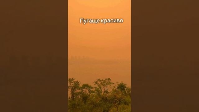 Страшно?