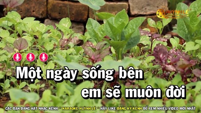 Karaoke Mùa Thu Lá Bay - Tone Nam