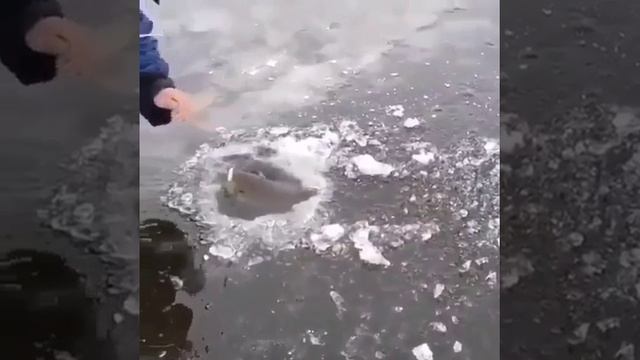 1000023962.mp4