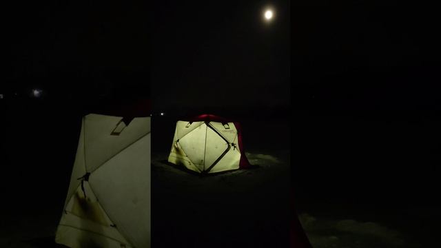 Полнолунье