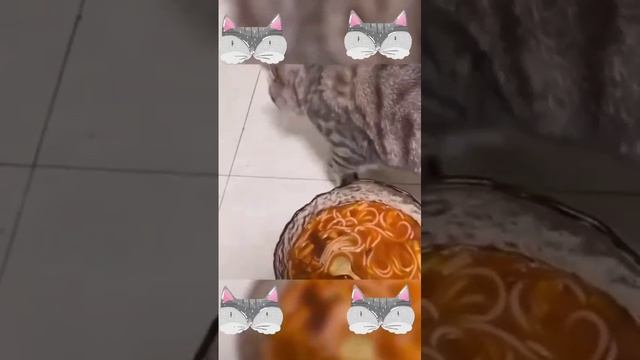 Вкусно, когда вкусно