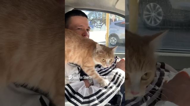 Впервые на улице 🐈😁