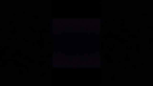 VID_20241214_101220.mp4