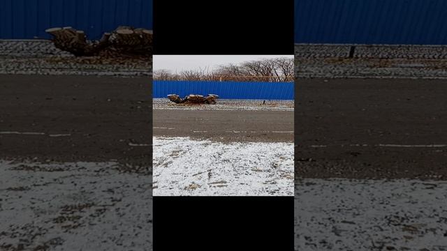 1000020192.mp4 зима зимушка унас патпешися 👍👍👍👍👍👍👍