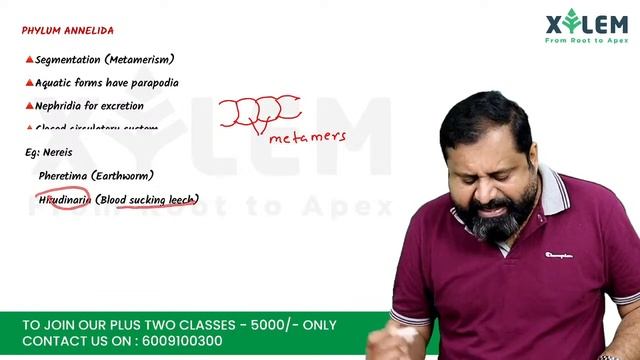 ANIMAL KINGDOM | RU | PLUS ONE FOCUS AREA | XYLEM LEARNING