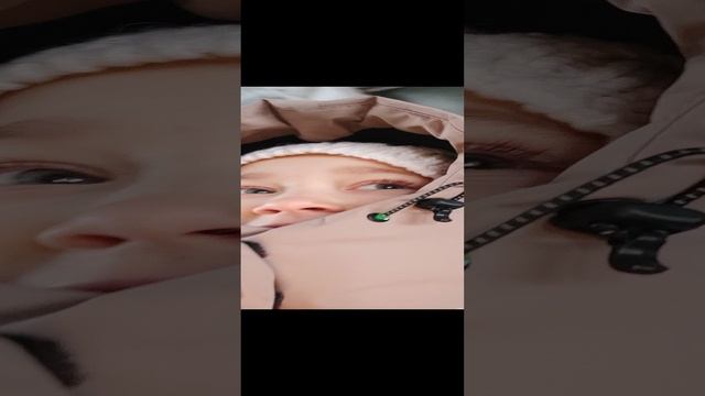 VID_20241214_131323.mp4