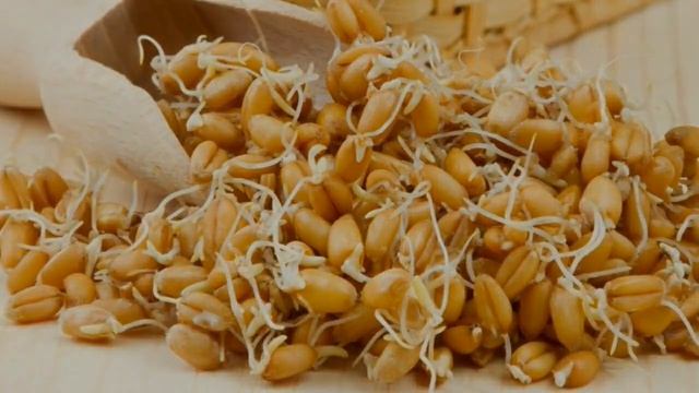 10 продуктов для продления жизни