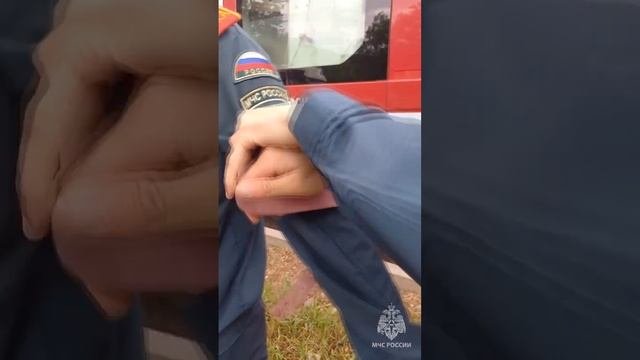 Как накладывать жгут #БезопасностьЭлементарно